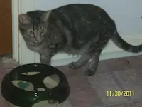 Tara, photo 3