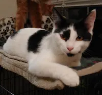 Little Ricky, photo 1