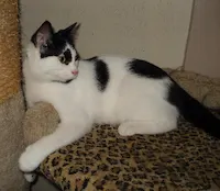 Little Ricky, photo 3
