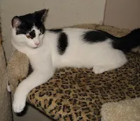 Little Ricky, photo 4