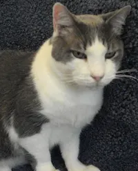 Otis, photo 1
