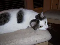 Emily, photo 2