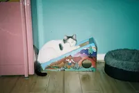 Emily, photo 3