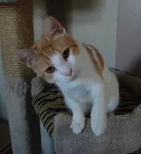 Rudy, photo 3