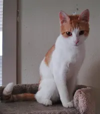Rudy, photo 4