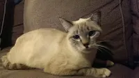 Blondie, photo 2