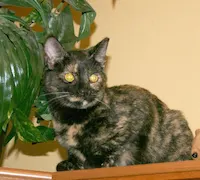 Rebecca, photo 2