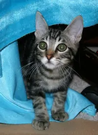 Juliet, photo 2