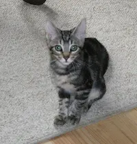 Juliet, photo 3