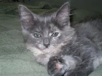 Princess, photo 1