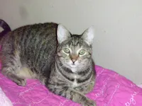 Gabby, photo 1