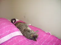 Gabby, photo 3