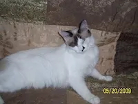 Ms. Fancy Pants, photo 2