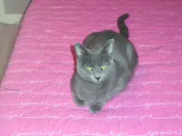 Jana, photo 2