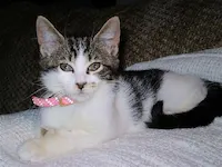 Kasey, photo 1