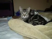 Sammy, photo 2