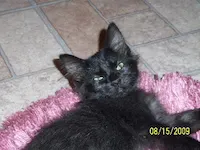 Mo, photo 2