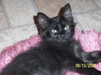 Mo, photo 3