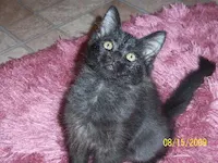 Larry, photo 1