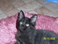 Larry, photo 2
