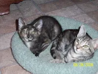 Farrah, photo 2