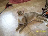 Princess, photo 1