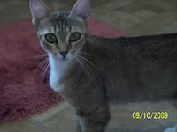 Princess, photo 2
