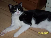 Hallie, photo 2