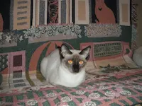 Sara, photo 2