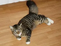 Paw Paw, photo 2