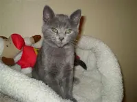 Mickey D & Mr. Lucky, photo 3