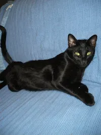 Jackson, photo 1
