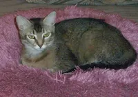 Juanita, photo 1
