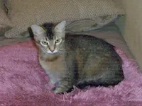 Juanita, photo 2