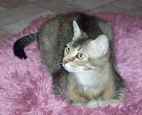 Juanita, photo 3
