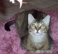 Juanita, photo 4