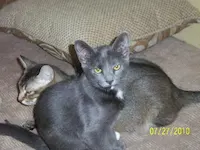Janet, photo 4