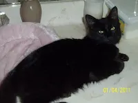 Sonny, photo 1