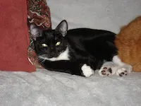 Jeremy, photo 2