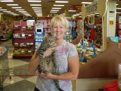 Charlie, adopted from Cats For Life in Houston, Texas