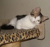 Kaboodle, photo 2